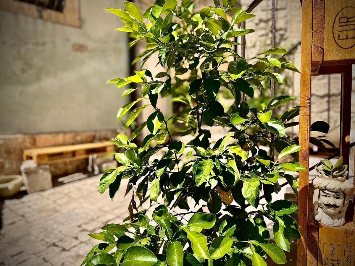 Cuturissi Hospitality & Wellnees Bed & Breakfast Ragusa Exterior photo